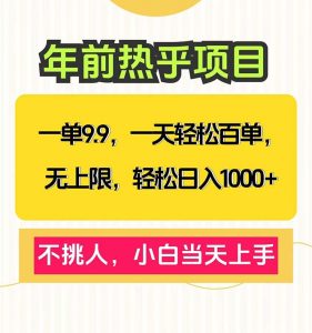 一单9.9，一天百单无上限，不挑人，小白当天上手，轻松日入1000+-KF云创