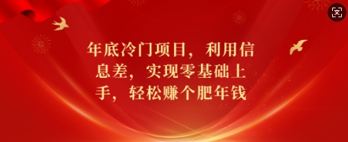 年底冷门项目，利用信息差，实现零基础上手，轻松赚个肥年钱【揭秘】-KF云创