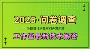 2025问卷调查最新工作室技术解密：一个人在家也可以闷声发大财，小白一天2张，可矩阵放大【揭秘】-KF云创