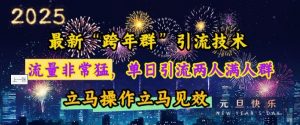 最新“跨年群”引流，流量非常猛，单日引流两人满人群，立马操作立马见效【揭秘】-KF云创