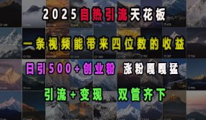 2025自热引流天花板，一条视频能带来四位数的收益，引流+变现双管齐下，日引500+创业粉，涨粉嘎嘎猛-KF云创