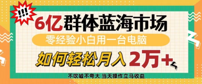 6亿群体蓝海市场，零经验小白用一台电脑，如何轻松月入过w【揭秘】-KF云创