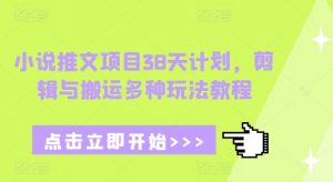 小说推文项目38天计划，剪辑与搬运多种玩法教程-KF云创