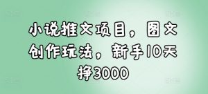 小说推文项目，图文创作玩法，新手10天挣3000-KF云创