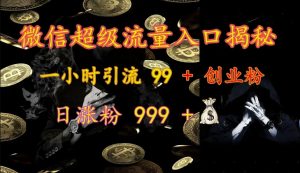 微信超级流量入口揭秘：一小时引流 99 + 创业粉，日涨粉 999 +-KF云创