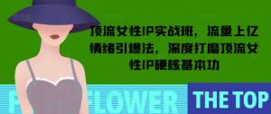 顶流女性IP实战班，流量上亿情绪引爆法，深度打磨顶流女性IP硬核基本功-KF云创