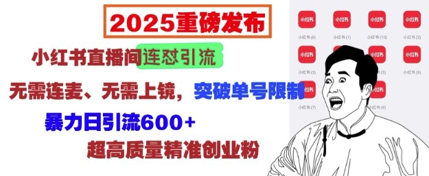 2025重磅发布：小红书直播间连怼引流，无需连麦、无需上镜，突破单号限制，暴力日引流600+-KF云创
