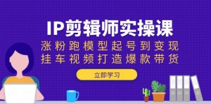IP剪辑师实操课：涨粉跑模型起号到变现，挂车视频打造爆款带货-KF云创