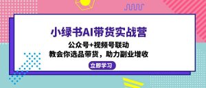 小绿书AI带货实战营：公众号+视频号联动，教会你选品带货，助力副业增收-KF云创