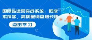 国际站运营实战系统：低成本获客，高质量询盘增长课-KF云创