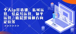 个人ip打造课，私域运营，公众号运营，知乎运营，底层逻辑和方向定位等-KF云创