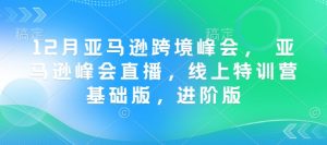 12月亚马逊跨境峰会， 亚马逊峰会直播，线上特训营基础版，进阶版-KF云创