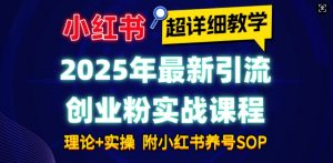 2025年最新小红书引流创业粉实战课程【超详细教学】小白轻松上手，月入1W+，附小红书养号SOP-KF云创