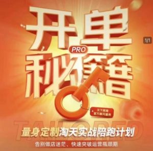淘宝开单秘籍PRO，量身定制淘天实战陪跑计划，告别做店迷茫、快速突破运营瓶颈期-KF云创