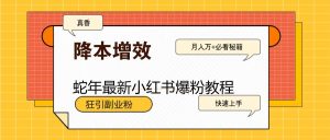 蛇年最新小红书爆粉教程，狂引副业粉，月入万+必看-KF云创