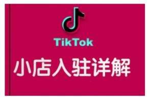 TikTok跨境小店运营全攻略，帮助你独立运营TK跨境小店的能力，实现销量增长-KF云创