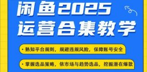 2025闲鱼电商运营全集，2025最新咸鱼玩法-KF云创
