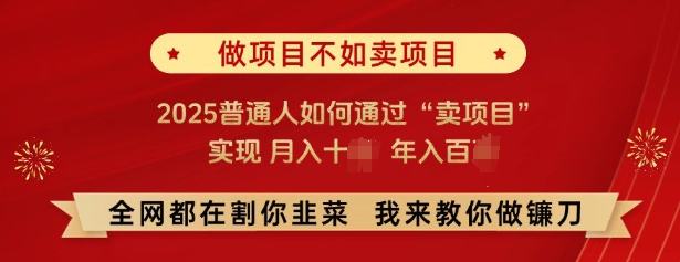 必看，做项目不如卖项目，2025普通人如何通过“卖项目”实现月入十个，年入百个-KF云创