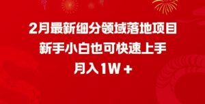 2月最新细分领域落地项目，新手小白也可快速上手，月入1W-KF云创
