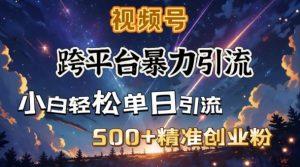 跨平台暴力引流，私域完美闭环，日引500+精准创业粉-KF云创