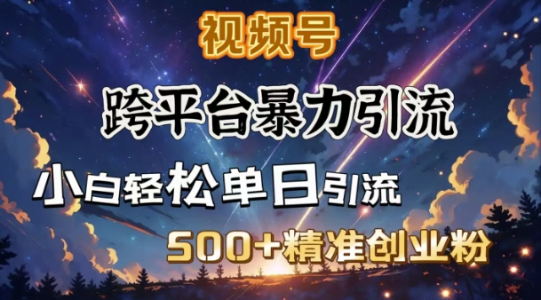 跨平台暴力引流，私域完美闭环，日引500+精准创业粉-KF云创
