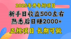 2025开年好项目，单号日收益2000左右-KF云创