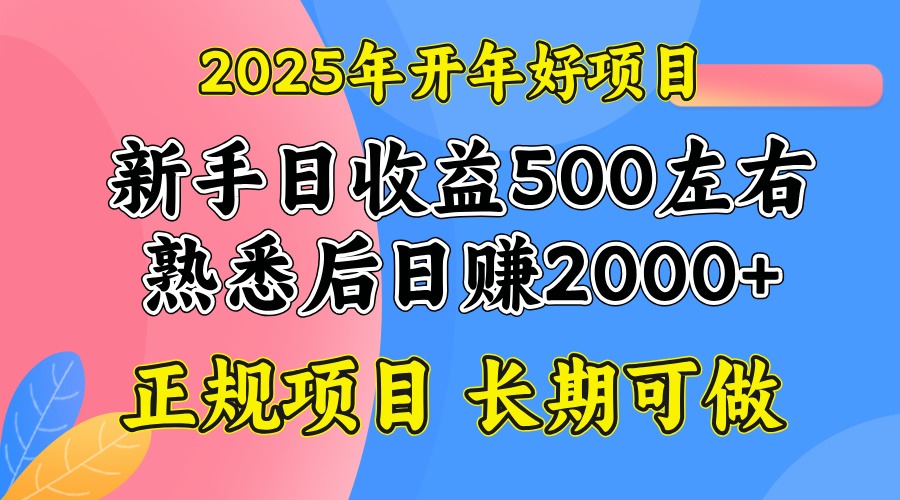 2025开年好项目，单号日收益2000左右-KF云创