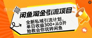 闲鱼淘金私域引流计划，从0开始玩转闲鱼，副业也可以挣到全职的工资-KF云创