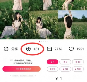 最新图虫搬运项目，收益无上限，利用AI小白也可日赚500+-KF云创