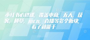 小红书必修课，覆盖电商，无人，获客，种草，mcn，直播等多个板块，看了就能干-KF云创