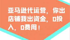 亚马逊代运营，你出店铺我出资金，0投入，0费用，无责任每天300分红，赢亏我承担-KF云创