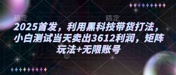 2025首发，利用黑科技带货打法，小白测试当天卖出3612利润，矩阵玩法+无限账号【揭秘】-KF云创