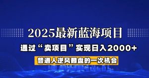 2025年蓝海项目，如何通过“网创项目”日入2000+-KF云创
