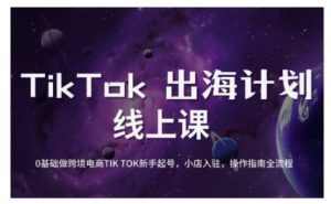 TikTok跨境电商新手起号与运营全攻略，0基础做跨境电商TIKTOK新手起号，小店入驻，操作指南全流程-KF云创
