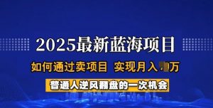 2025蓝海项目，普通人如何通过卖项目，实现月入过W，全过程【揭秘】-KF云创
