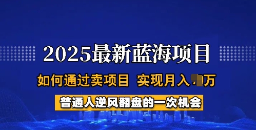 2025蓝海项目，普通人如何通过卖项目，实现月入过W，全过程【揭秘】-KF云创