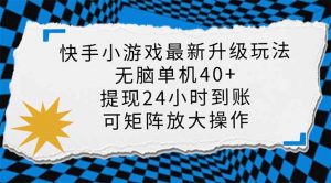 快手小游戏最新版升级玩法，新风口，无脑单机日入40+，可批量放大，小...-KF云创