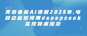 天诺老吴AI课程2025年，电商企业如何用deeepseek实现降本提效-KF云创