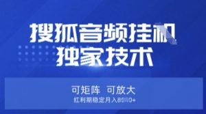 【搜狐音频挂G】独家技术，可矩阵可放大，红利期稳定月入8k【揭秘】-KF云创