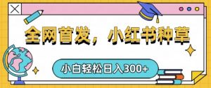 小红书种草，手机项目，日入3张，复制黏贴即可，可矩阵操作，动手不动脑【揭秘】-KF云创