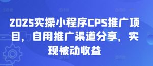 2025实操小程序CPS推广项目，自用推广渠道分享，实现被动收益-KF云创