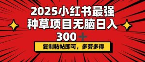 2025小红书最强种草项目，无脑日入300+，复制粘帖即可，多劳多得-KF云创