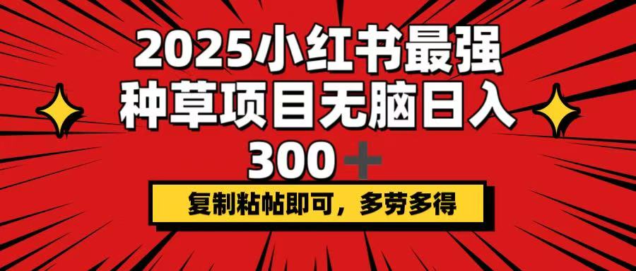 2025小红书最强种草项目，无脑日入300+，复制粘帖即可，多劳多得-KF云创