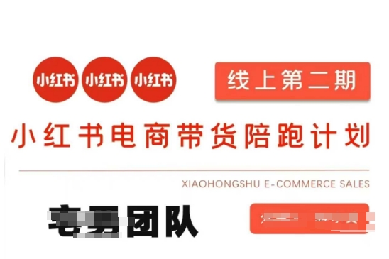 小红书电商带货课2期，月利润20个的小红书电商的有货源，无货源，虚拟产品，付费投流等整套玩法-KF云创