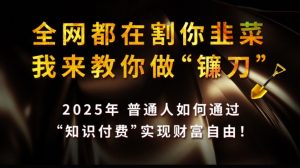 全网都在割你韭菜，我来教你做镰刀,2025普通人如何通过知识付费，实现财F自由【揭秘】-KF云创