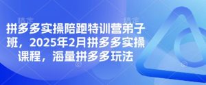 拼多多实操陪跑特训营弟子班，2025年2月拼多多实操课程，海量拼多多玩法-KF云创