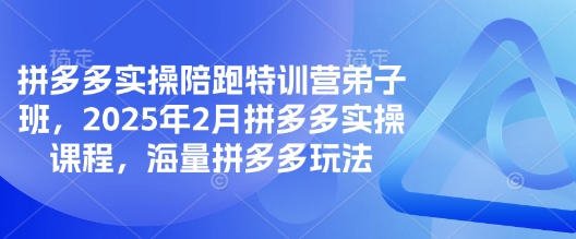 拼多多实操陪跑特训营弟子班，2025年2月拼多多实操课程，海量拼多多玩法-KF云创
