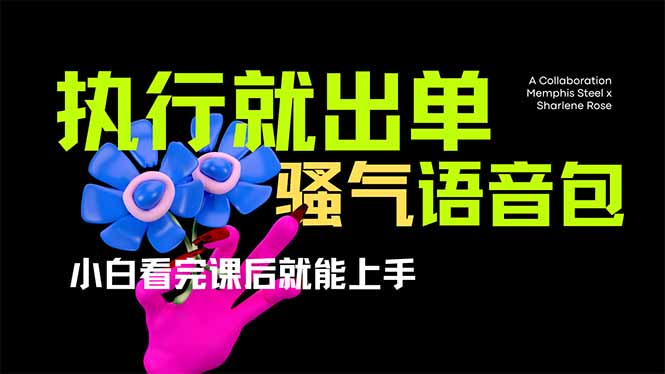 爆火全网的开车导航骚气语音包,只要执行就出单，小白看完课程就能实操…-KF云创