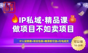 2025年“IP私域·密训精品课”，日赚3000+小白避坑年赚百万，暴力引流...-KF云创