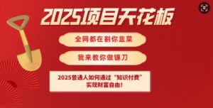 2025项目天花板普通人如何通过知识付费，实现财F自由【揭秘】-KF云创